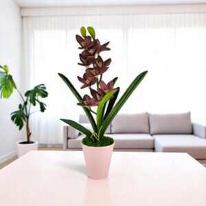 Élethű nagy méretű egyszálas burgundi csónakorchidea ORC108