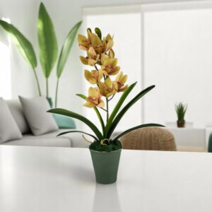 Élethű nagy méretű sárga mályva cirmos csónakorchidea ORC109SA