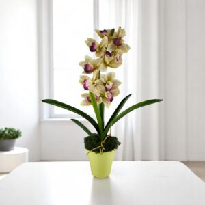 Sárga lila nagyméretű egyszálas csónakorchidea ORC110