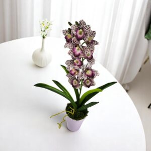 Élethű nagy méretű egyszálas lila pöttyös csónakorchidea ORC111LI
