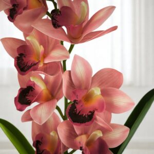 Élethű nagy méretű egyszálas élénk rózsaszín csónakorchidea ORC112PK