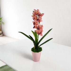 Élethű nagy méretű egyszálas élénk rózsaszín csónakorchidea ORC112PK