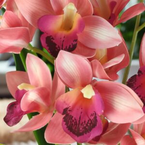 Pink kétszálas élethű csónakorchidea ORC209