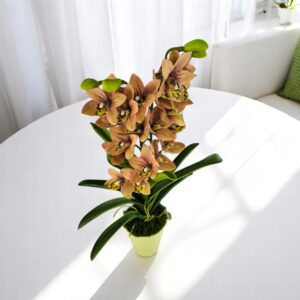 Sárgás barnás kétszálas élethű csónakorchidea ORC211