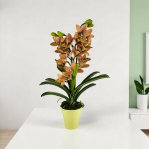 Sárgás barnás kétszálas élethű csónakorchidea ORC211