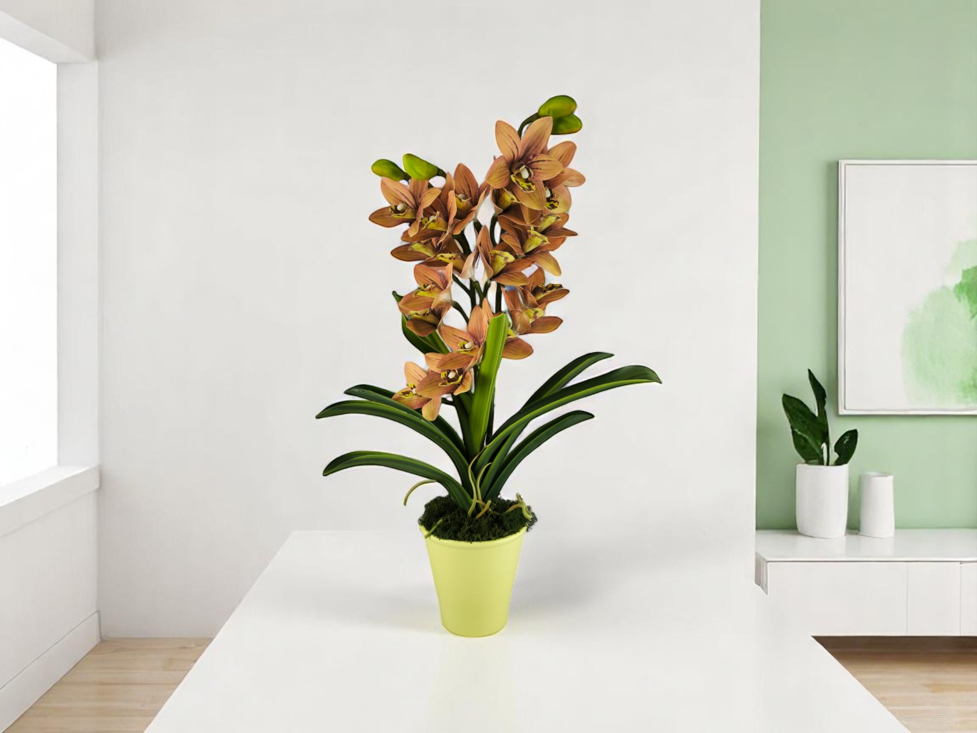 Sárgás barnás kétszálas élethű csónakorchidea ORC211
