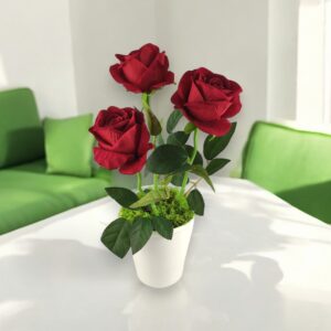 Élethű, óriás fejű vörös bársonyrózsa fehér kaspóban ROS317