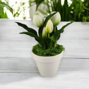 Élethű fehér tulipánok kaspóban TUE527
