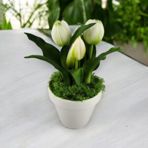 Élethű fehér tulipánok kaspóban TUE527