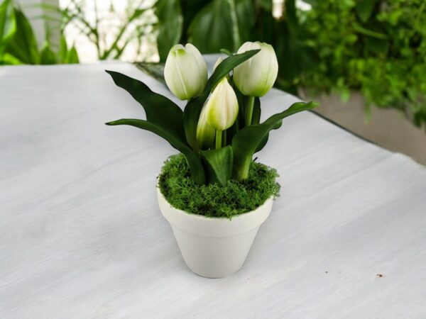 Élethű fehér tulipánok kaspóban TUE527
