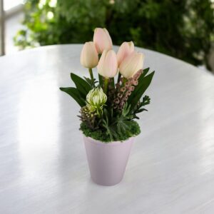 Púder rózsaszín tulipánok lila kaspóban TUG560