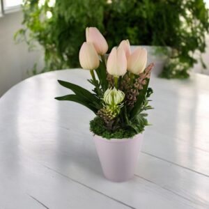 Púder rózsaszín tulipánok lila kaspóban TUG560
