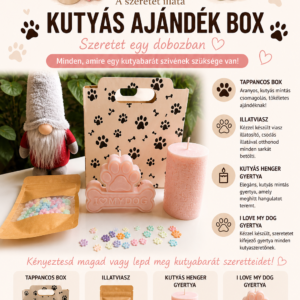 Kutyás Ajándék Box – Szeretet egy dobozban 🐾