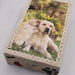 Labradoros doboz