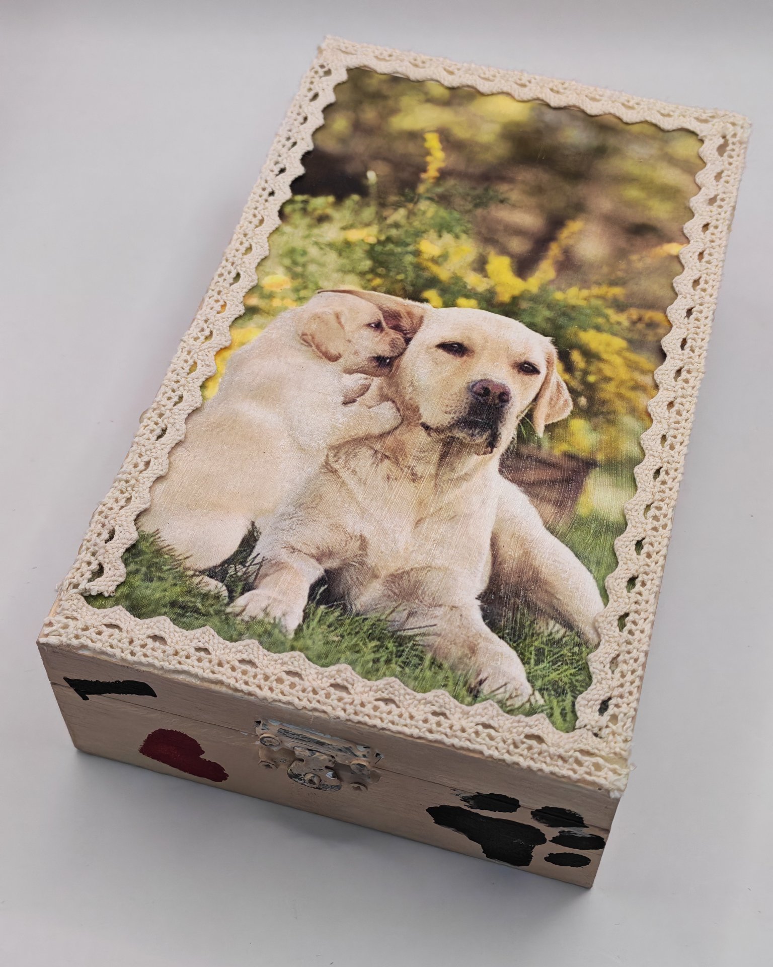 Labradoros doboz