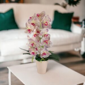 Nagy méretű krém, lila kétszálas orchidea OR206