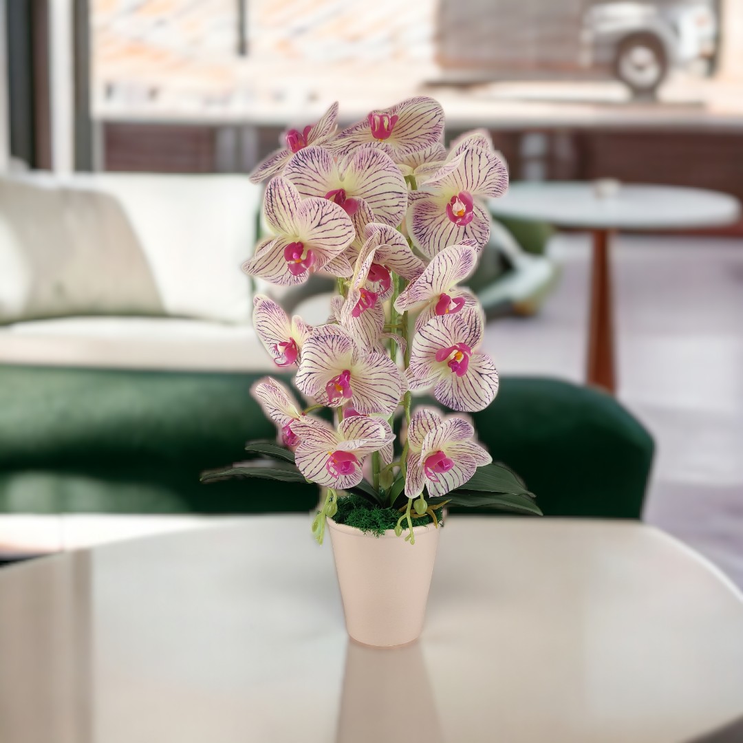 Nagy méretű krém, lila kétszálas orchidea OR206