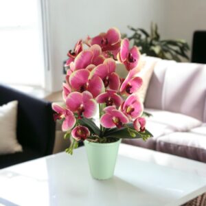 Nagy méretű pink, krémszínű kétszálas orchidea OR208