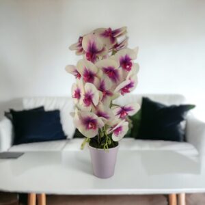 Nagyméretű kétszálas krémszínű, ciklámen élethű orchidea OR213
