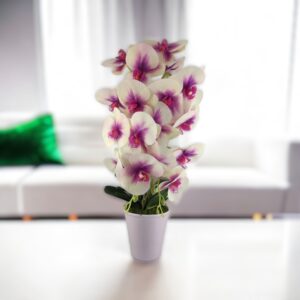 Nagyméretű kétszálas krémszínű, ciklámen élethű orchidea OR213
