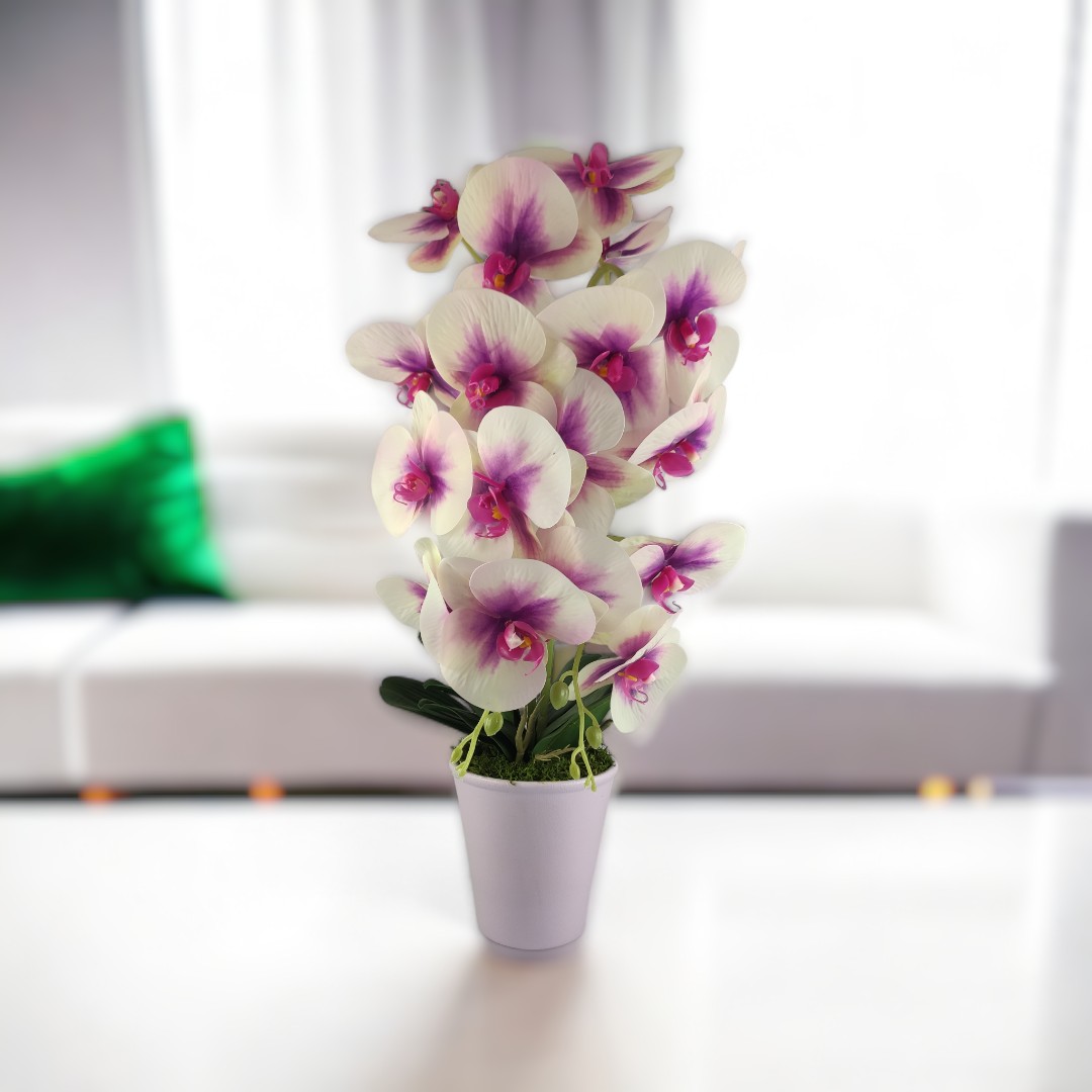 Nagyméretű kétszálas krémszínű, ciklámen élethű orchidea OR213