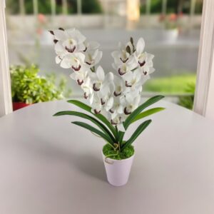 Fehér kétszálas élethű csónakorchidea ORC206