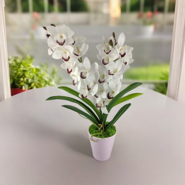 Fehér kétszálas élethű csónakorchidea ORC206