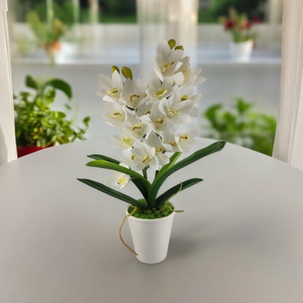 Fehér kétszálas élethű csónakorchidea ORC210