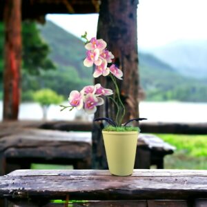 Ciklámen és krémszínű kétágú élethű orchidea színes agyagkaspóban ORK215