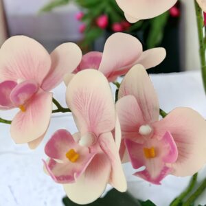 Rózsaszín kétágú élethű orchidea színes agyagkaspóban ORK217