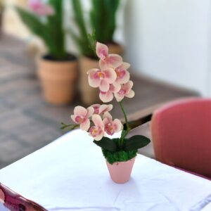 Rózsaszín kétágú élethű orchidea színes agyagkaspóban ORK217