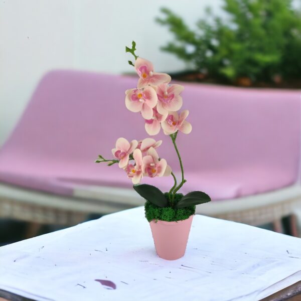 Rózsaszín kétágú élethű orchidea színes agyagkaspóban ORK217