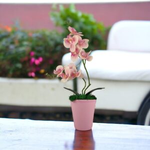 Rózsaszín kétágú élethű orchidea színes agyagkaspóban ORK217