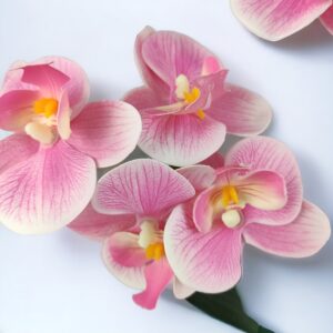 Pink cirmos színű kétágú élethű orchidea színes agyagkaspóban ORK218