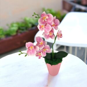 Pink cirmos színű kétágú élethű orchidea színes agyagkaspóban ORK218