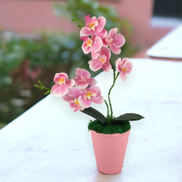 Pink cirmos színű kétágú élethű orchidea színes agyagkaspóban ORK218