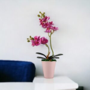 Kisméretű, kétágas ciklámen orchidea ORK219