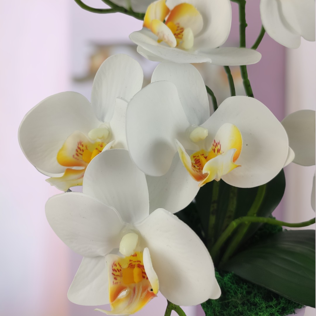 4 ágú fehér orchidea ORK401