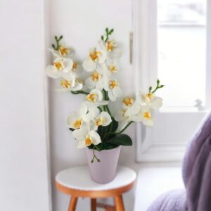 4 ágú fehér orchidea ORK401