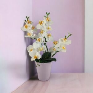 4 ágú fehér orchidea ORK401