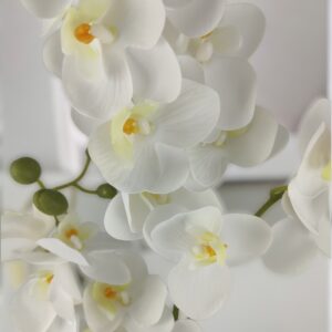 Négyágú fehér kisméretű orchidea ORK405FH