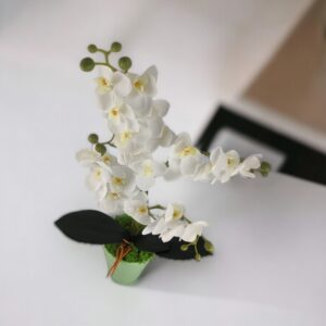 Négyágú fehér kisméretű orchidea ORK405FH