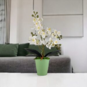 Négyágú fehér kisméretű orchidea ORK405FH