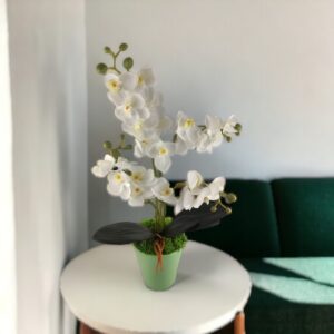 Négyágú fehér kisméretű orchidea ORK405FH