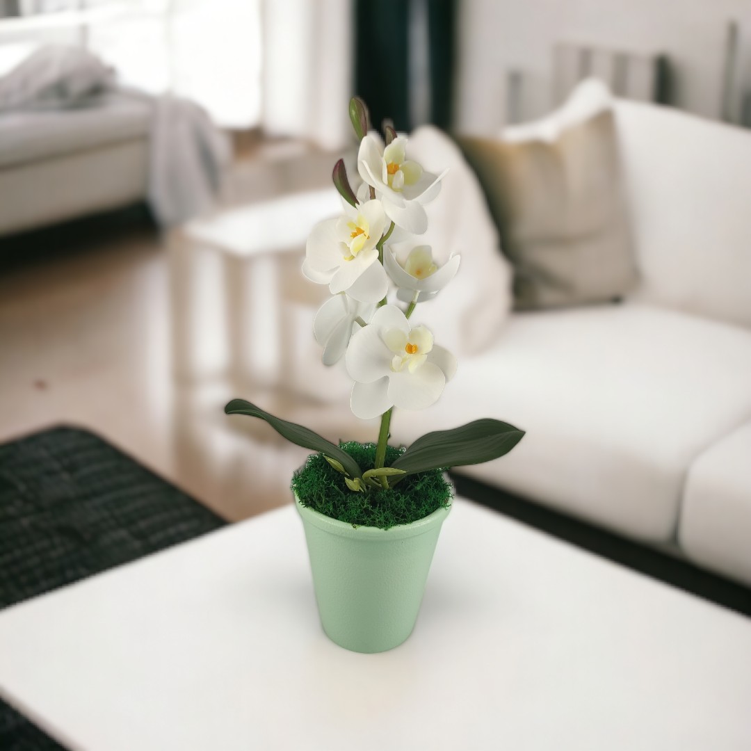Fehér mini orchidea ORM109