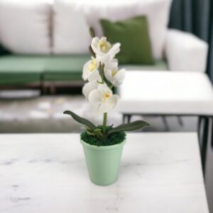 Fehér mini orchidea ORM109