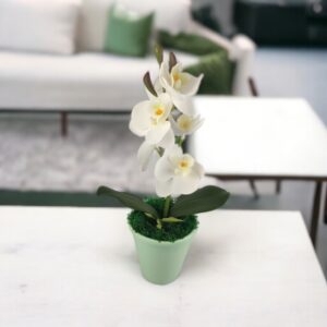Fehér mini orchidea ORM109