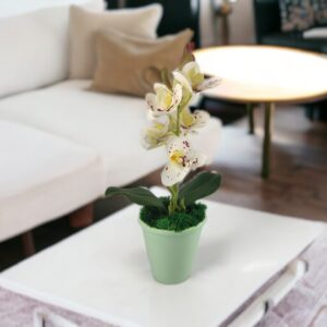 Fehér pöttyös mini orchidea ORM110