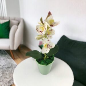 Fehér pöttyös mini orchidea ORM110