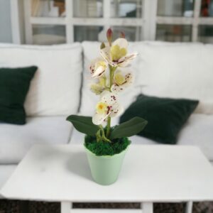 Fehér pöttyös mini orchidea ORM110
